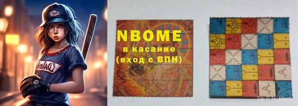 индика Долгопрудный