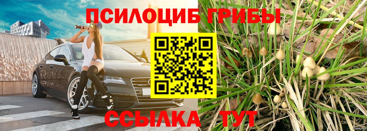 Галлюциногенные грибы прущие грибы Ростов-на-Дону