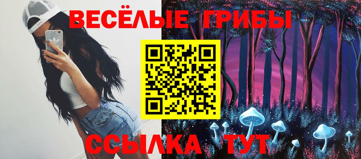 МЕФ Ростов-на-Дону
