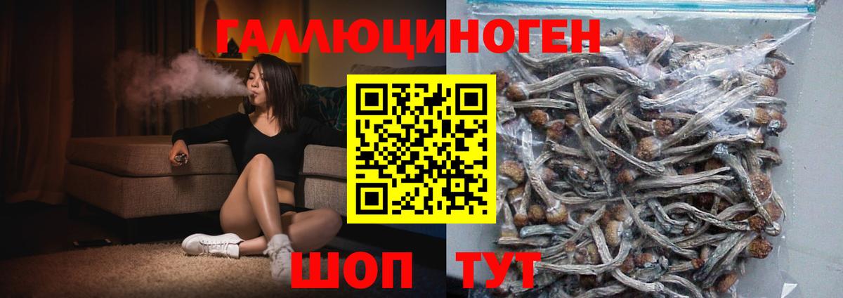 Галлюциногенные грибы GOLDEN TEACHER  Вход с VPN  Ростов-на-Дону 